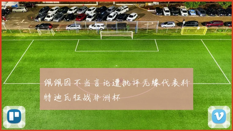 佩佩因不当言论遭批评无缘代表科特迪瓦征战非洲杯