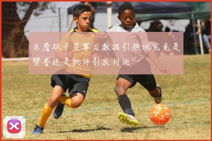 东詹双子星赛后数据引热议究竟是赞誉还是批评引发讨论